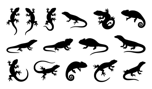 Minimal gecko and lizard silhouette vector collection with isolated reptile icon shapes on white background