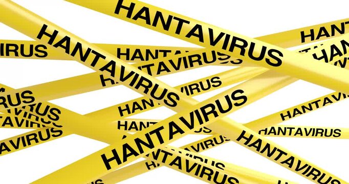 4k Resolution Video: Hantavirus Quarantine And Infection Warning Concept. Yellow Caution Tape With Hantavirus Black Text Animate On White Background With Alpha Matte