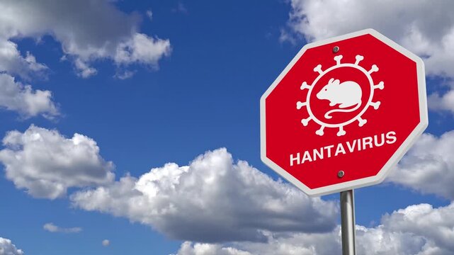 4k Resolution Video: Hantavirus Warning And Public Health Alert Concept. Red Road Sign With Mouse Hantavirus Virus Symbol Against Animate Cloudy Sky Background