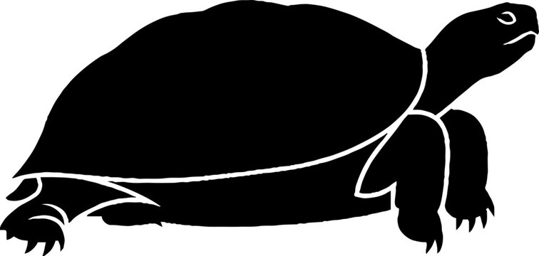 Walking tortoise silhouette with detailed shell
