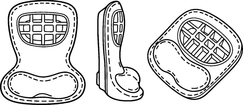 Detailed dental anatomy showing teeth and gums