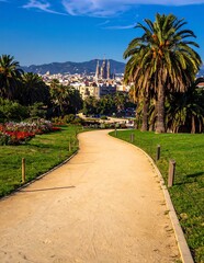 Fototapeta premium Sunny Winding Park Path Leading Through Palm Trees Toward Barcelona City Skyline