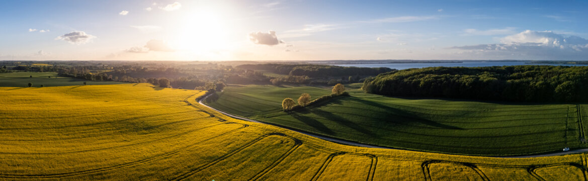 Aerial view of the Freienwillen area featuring vibrant yellow rapeseed fields, rolling green hills, and a dense forest under a bright sun in Langballig, Schleswig-Holstein, Germany.