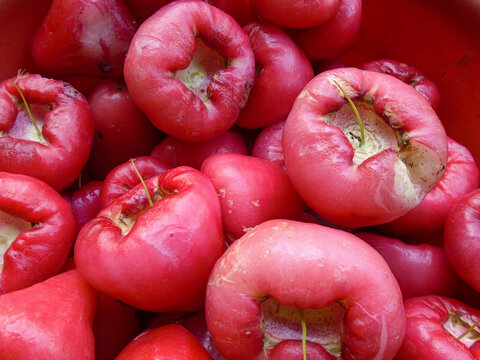 Fresh Rose Apples Background Close Up &ndash; Tropical Wax Apple Fruit Texture