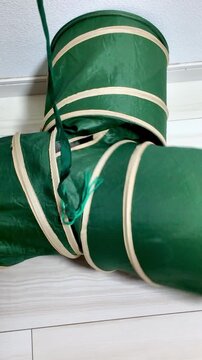 A grey cat plays inside a green three-way tunnel toy on a wooden floor, swiping at a ribbon.
