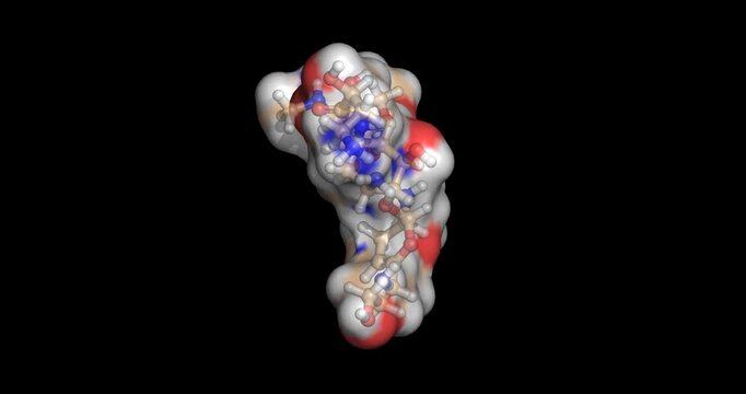 Plazomicin, last line drugs/aminoglycoside antibiotic and bacterial protein synthesis inhibitor, 3D molecule spinning, 4K