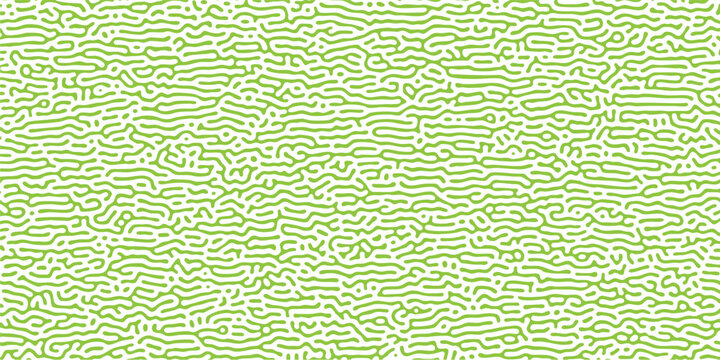 Pastel green minimalist maze line art pattern seamless textile print for sustainable fashion branding cover layout, vector design