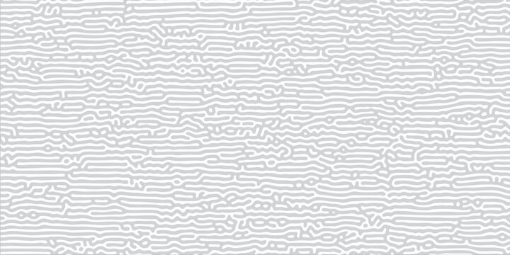 Clean corporate technology presentation background showcasing silver gray organic lines maze for digital data network banner, vector design