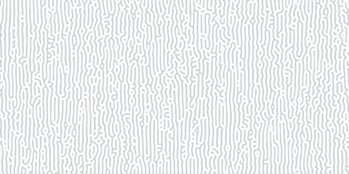 Abstract biometric identity background with dense vertical gray line matrix resembling human fingerprint scanner interface, graphic illustration