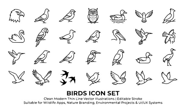 Birds icon set vector illustration wildlife animal icons isolated on white
&lrm;
