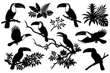 Obraz premium Silhouette toucans and tropical foliage collection on branches.
