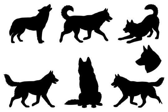 Silhouettes of wolves in various poses and angles on white background.