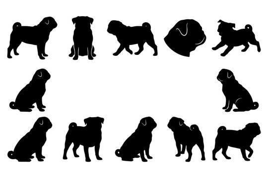 Set of pug silhouettes in various poses on white background.