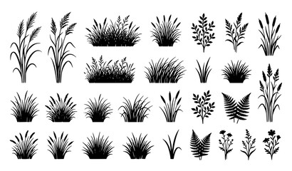 Natural grass silhouette vector set with wild botanical meadow elements isolated on white background © Wahida
