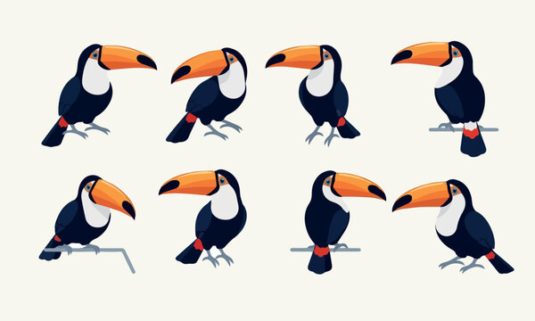 Ilustra&ccedil;&atilde;o vetorial de tucano tropical colorido em diferentes poses isolado