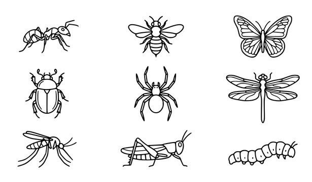 Insects outline icons set vector illustration bugs isolated on white
&lrm;