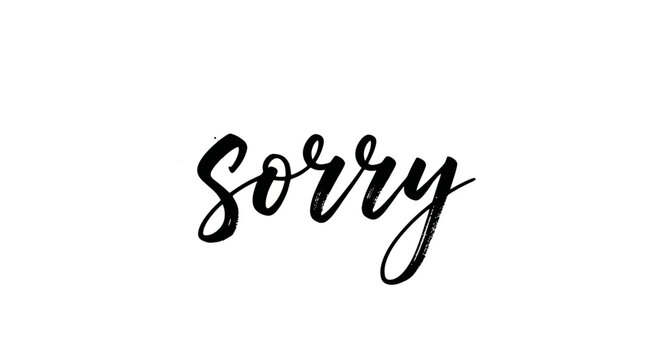Sorry Word Handwritten Calligraphy on White Background