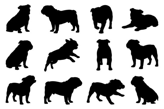 Silhouette collection of english bulldogs in various poses.