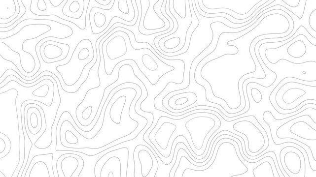 Abstract topographic map contour lines moving on white background loop