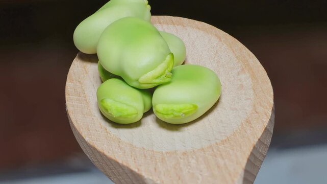 Shelled broad beans on a wooden spoon, healthy food