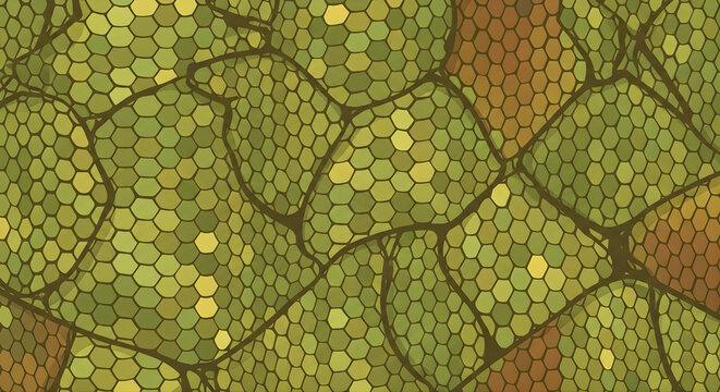Seamless green snake skin texture pattern background illustration art