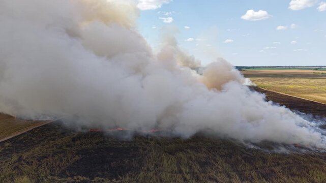 Prescribe burn of prairie grass Prairie Ridge State Natural Area Jasper Co. IL
