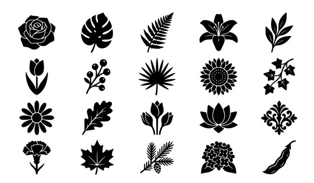Decorative floral and botanical leaves black silhouette vector icons set featuring rose monstera fern lily sunflower and maple elements for minimalist graphic design layouts