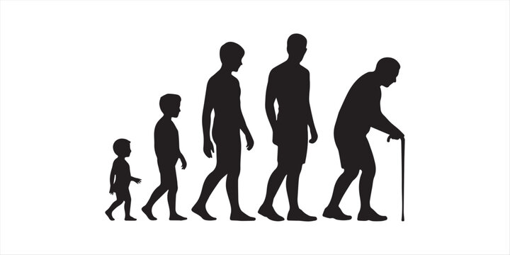Human Life Stages Silhouette Evolution.Vector silhouette of man in different age on white background. Symbol of generation from child to old person.