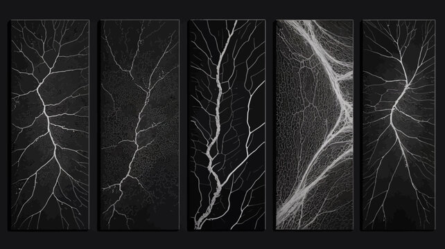 Lightning bolt patterns on a black background abstract atmospheric phenomena weather storm electricity discharge energy power fractal branching veins network pattern
