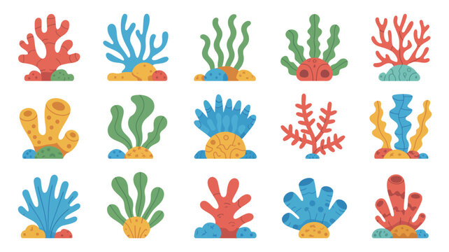 Coral And Sponge Collection Colorful Vector Illustration On White Background sea brain staghorn seaweed marine life ocean flora aquatic underwater flat