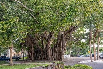 Obraz premium st. petersburg, florida
