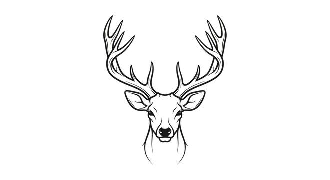 Deer head with large antlers front.