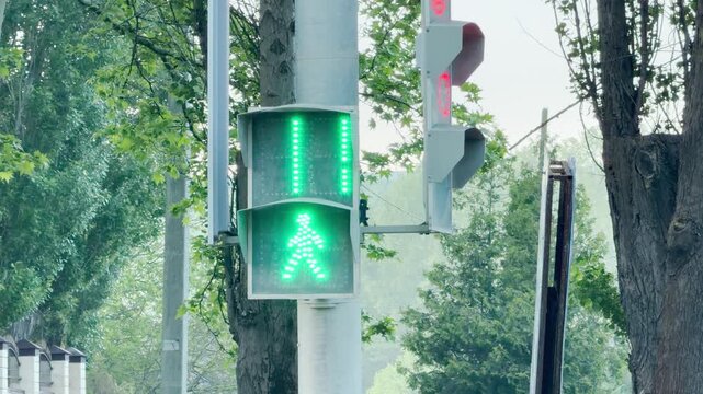 A pedestrian signal glows green, showing a walking figure and a digital countdown timer at thirteen seconds. The traffic light is mounted on a metal pole surrounded by lush summer trees.