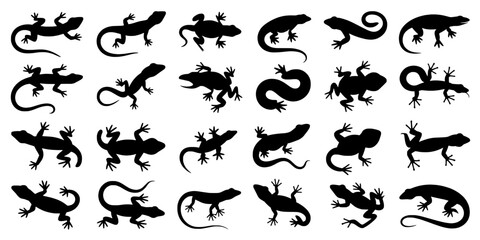 Fototapeta premium Lizard silhouette icons set with playful cartoon shapes, reptile crawling poses, isolated black vector collection