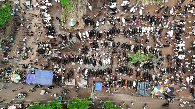 Aerial view of a bustling rural cattle market in asia