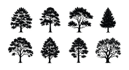 Tree silhouettes collection on a white background vector illustration © Urmi512