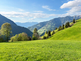 Alpine meadows and pastures on the slopes of the Uri Alps mountain massif and in the alpine valley Melchtal - Canton of Obwalden, Switzerland (Kanton Obwald, Schweiz) © Mario