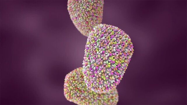 Human immunodeficiency virus (HIV) particles with envelope glycoprotein spikes, rotating and drifting. 3D animation of enveloped retrovirus responsible for acquired immunodeficiency syndrome.