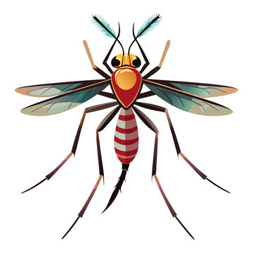 Isolated mosquito white background. Realistic dengue mosquito in vector illustration. Design of graphic source for healthcare of fever that mosquito is ... See More
