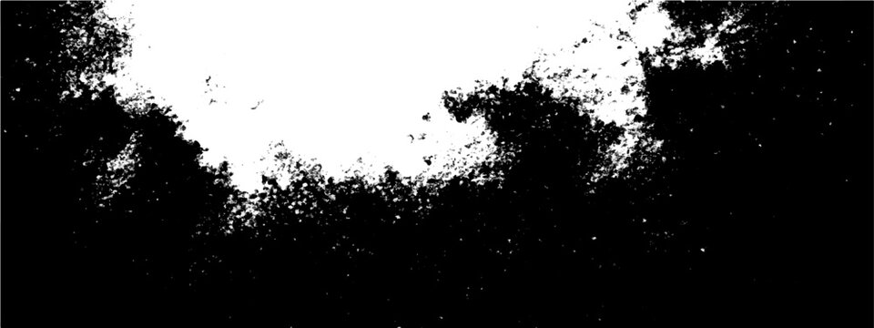 Abstract black and white cloud-like splash with textured particle effect.