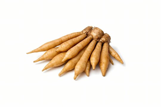 Fingerroot or Chinese ginger isolated on white background. High resolution image for traditional medicine blogs exotic root vegetable guides and asian food specialty markets.