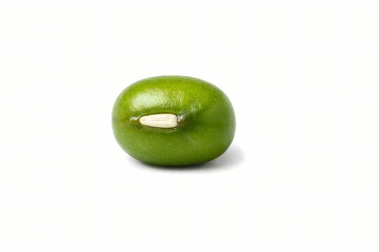Macro photo of a single green mung bean isolated on a white background. This high quality image is ideal for agricultural packaging, health nutrition blogs and seed catalogs.