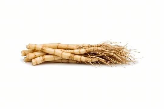 Bundle of fingerroot or krachai herbs with roots isolated on white background perfect for traditional medicine articles thai cuisine cookbooks and herbal extract marketing
