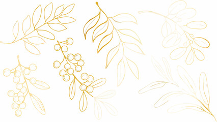 Golden botanical line art illustration featuring leaves and berries against a white background floral ornament leaf drawing berry branch vector graphic © Unnati