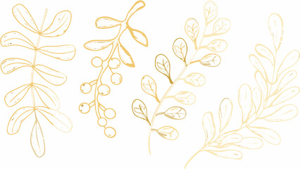 Golden botanical illustration depicting various leaf and berry sprigs with delicate line work on a white background leaves foliage plant flora © Unnati