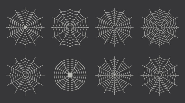 Spiderwebs Collection Gray Vector Illustration On Dark Background spiderweb spider webs web arachnid arachnids radial pattern circular design scale grayscale graphic