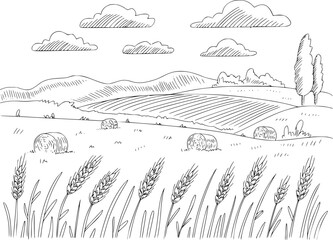 Naklejka premium Hand-drawn of a rural wheat field with hay bales and rolling hills