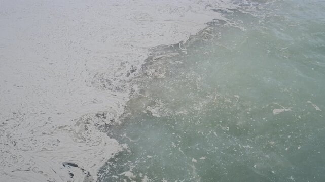 Ecological disaster in the Black Sea: spill of vegetable oil and contamination of marine water and coastline