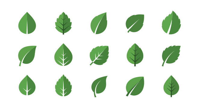 Green leaf shapes collection vector illustration on white background