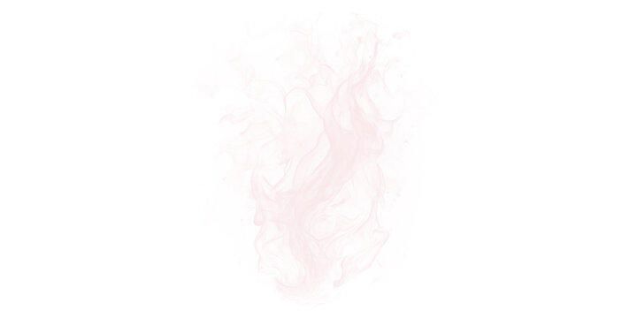 Pink cherry blossom petals falling on transparent background spring celebration